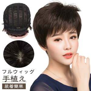 S3F EBbO V[g  N tEBbO l fB[X ӂӂ B y ʋC  i` tEBbO J[ R bVf  ꂳ ×p 