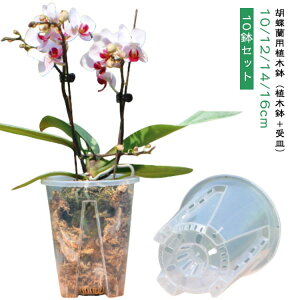 10Zbg Ӓ Aؔ t vX`bN  Ӓ v^[ m t Ӓ̐Aւ Aؔ Zbg I[Lbh|bg  O  ϗtA A Aւ c|