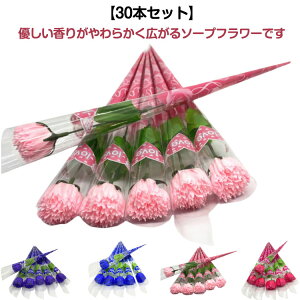 \[vt[ 30{ J[l[V 1 ̓ ot[ ԑ o 蕨 ʉ w Cxg EGfBO Mtg v[g Ӊ a j LO \ e ` c