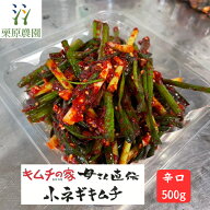 【数量限定 発送日限定】 小ネギキムチ 辛口 500g キムチの家 母さん直伝