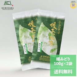 【メール便送料無料】特上煎茶(媛みどり)100g2本セット