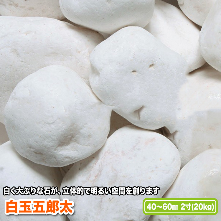 白く大ぶりな石が 立体的で明るい空間を創ります 白玉五郎太 今季も再入荷 2寸 おすすめ 40～60mm