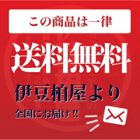 お試し送料無料ハーフサイズ