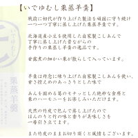 いでゆむし羊羹2本【メール便】竹皮に包んで蒸した甘さ控えめの栗蒸し羊羹詰め合わせ【伊豆柏屋、伊豆、お土産、特産、名産、ようかん、和スイーツ、ギフト、贈答】