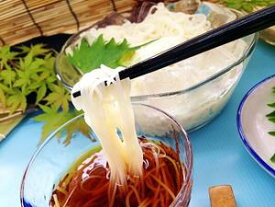 島原本格手延素麺白瀧(てのべそうめん しらたき) 高橋謙作製麺 1.5kg 50g×30束 贈答用/のし/熨斗/国産/長崎/島原/地元グルメ/B級グルメ 業務用