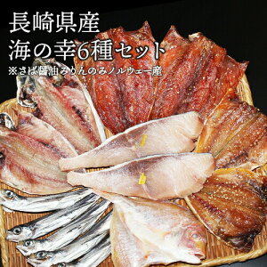 茧Y C̍K 6Zbg   ݂񊱂 J Mtg MtgZbg Ε  