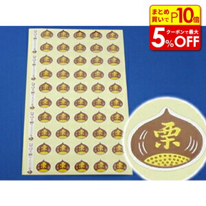 yXő50OFF{|Cg45{z IV[G-62 100 ٍޗ pޗ َqޗ َqVs Ɩp