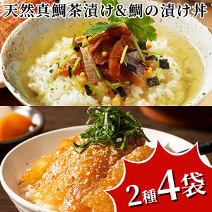 VR^⒃Ђ  ЂZbg BY Y Mtg  Ε N  c ̓ ̓ hV̓ 񂹃O Ε j  Zbg