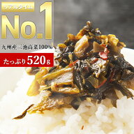 5種から選べる！ 辛子高菜 260g×2袋 からし高菜 高菜 高菜漬け たかな メール便 送料無料 国産 九州産 …