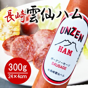 楽天市場 長崎雲仙ハム 300g 単品 ボロニアソーセージ ギフト お中元 お歳暮 詰め合わせ ソーセージ ギフトセット ベーコン 国産 長崎 おつまみ 酒の肴 5786 業務用 栗の実