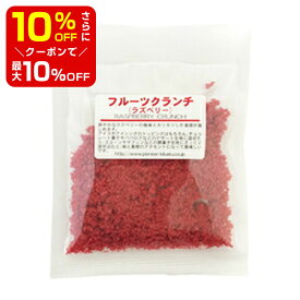 【店内最大50％OFF＋ポイント33倍】 フルーツクランチ ラズベリー ドライフルーツ パイオニア企画 20g 製パン材料 製菓材料 お菓子材料 お菓子レシピ バレンタイン ホワイトデー 手作り キット 友チョコ 義理チョコ ファミチョコ 業務用