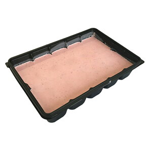 yXő50OFF{|Cg40{z p[^ObZ t[Y Xgx[ 1ubN R[eBOp`R[g Ɩp