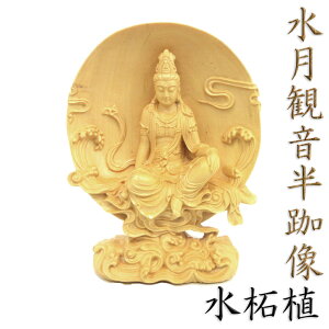  ω 摜 10cm ѐA O\Oω ϐF ωF ω