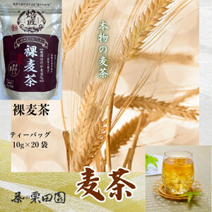  10g×20