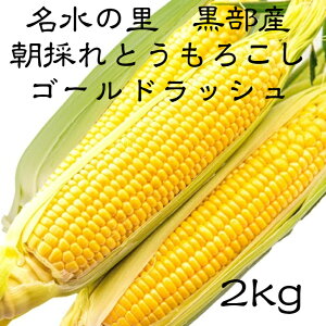 Y@̂Ƃ낱iS[hbVj2kg