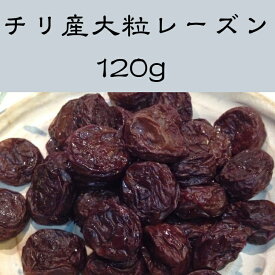 大粒レーズン　120g