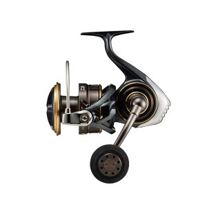 _C DAIWA 22 JfBASW 10000-P ^XsjO[