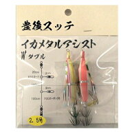 脇漁具・豊後スッテ2本付きイカメタルアシストリーダー仕掛けWダブル（2.5号）イカメタルゲーム マイカ …