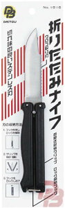 _CgEuN@܂肽݃iCt@NO.1010