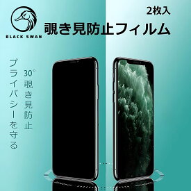 【スーパーSALE！全品対象10%OFFクーポン】iPhone15 iPhone15 pro iPhone 14 iPhone14 iPhone12 pro 覗き見防止 全面保護 9H強化 ガラス フィルム iphone14 plus Xs アイフォン14プロ 保護シール 覗き見 防止 テンエスマックス 覗き見防止フィルム 9Hガラス 硬いガラス