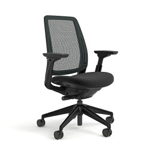 Steelcase Series2 �u���b�N�t���[�� �u���b�N/���R���X �w:�G�A�o�b�N/��:�N���X���� ���A�[�����X�g �������o�[�T�|�[�g �X�`�[���P�[�X �V���[�Y2