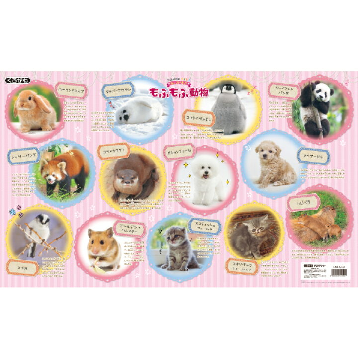 楽天市場 巻かずに発送 すぐ使える もふもふ動物柄 デスクマット Dm 19gm いぬ ねこ かわいい動物 ワンちゃん パンダ ペンギン アザラシ ウサギ ハムスター カピバラ コツメカワウソ レッサーパンダ くろがねっとｓｈｏｐ