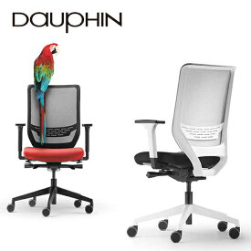 Dauphin To-sync｜ブラックフレーム｜ 6色 ランバーサポート付き アーム付 メッシュ オフィスチェア ワークチェア 事務椅子 テレワーク TS220BF くろがね
