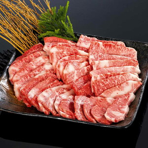 yzyF싍zēɏJr 800g (7`8lO) | a̎R F IB    Mtg v[g  p