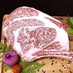 yzyF싍zF싍g}z[NXe[Litu[Xj900g`1kg(̂ɂĕς܂) | a̎R F IB    Mtg v[g  p