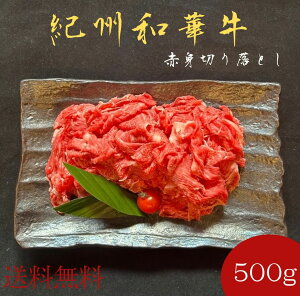 IBa؋؂藎Ƃ500giԐgj