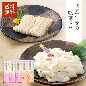 yz vHێR TN313 _SǂE_SЂl pϔ Mtg  j c  p ˃Mtg