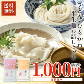 【送料無料】お試し 群馬県産小麦 国産小麦100％ 懐石うどん 懐石ひもかわ かつおだしめんつゆ付 ネコポス お得なお試し品