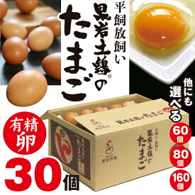 （30個入り） 黒岩土鶏 有精卵 平飼い卵 高級卵 敬老の日 おいしいたまご 新鮮卵 健康卵 ギフト