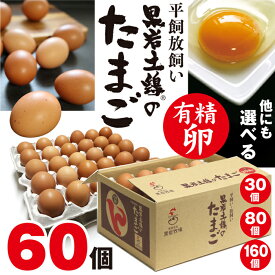 （60個入り） 黒岩土鶏 有精卵 平飼い卵 高級卵 敬老の日 おいしいたまご 新鮮卵 健康卵 ギフト
