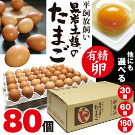 （80個入り） 黒岩土鶏 有精卵 平飼い卵 高級卵 敬老の日 おいしいたまご 新鮮卵 健康卵 ギフト