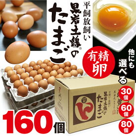 （160個入り） 黒岩土鶏 有精卵 平飼い卵 高級卵 敬老の日 おいしいたまご 新鮮卵 健康卵 ギフト