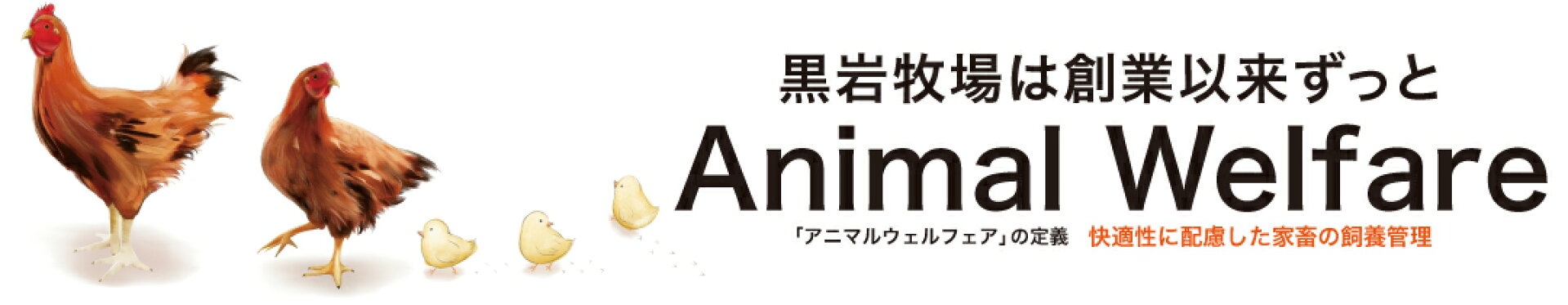 黒岩牧場は創業以来ずっとアニマルウェルフェア