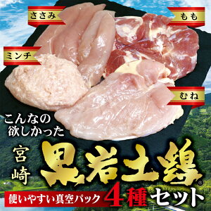 y{i4Zbgj ċx݂BBQ hV̓ N{ Mtg Ă 畨 eʂp܂
