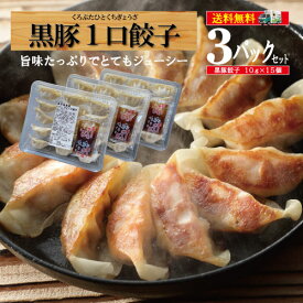 楽天市場 鹿児島 ビッグファイブ 餃子の通販