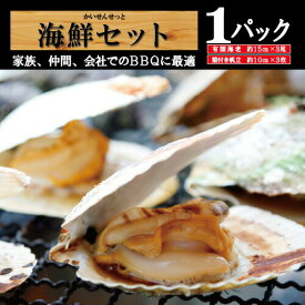 楽天市場 バーベキュー 海鮮セットの通販