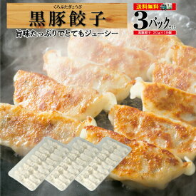 楽天市場 鹿児島 ビッグファイブ 餃子の通販 楽天市場 鹿児島 ビッグファイブ 餃子の通販