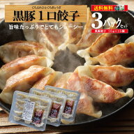 【20周年記念クーポン配布中★】餃子 冷凍 送料無料 一口餃子 黒豚餃子 鹿児島 黒豚餃子 仕送り 焼餃子 …
