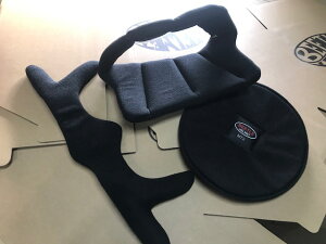 I[Vr[g/OCEAN BEETLE/BEETLE /Ci[