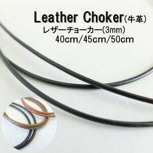 Leather Choker/���U�[�`���[�J�[/3mm/40cm/45cm/50cm/�{�v/���v/�V���o�[925/