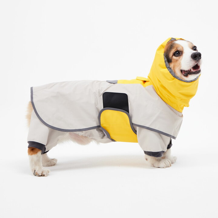 楽天市場】【NEW】犬 レインウェア アンダーカバー テールハイ 