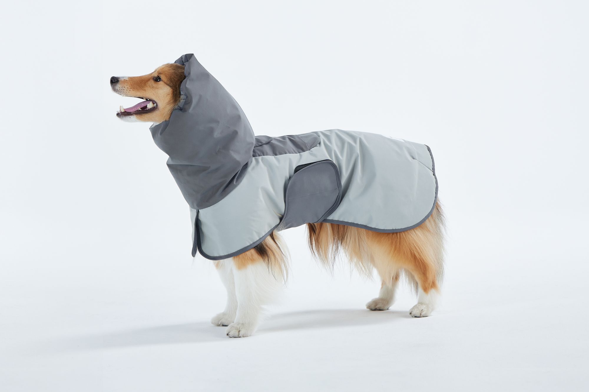 犬用 レインコート レインウェア テールハイ TAILHIGH Go2 Raincoat 着せやすい ポンチョ ペット 小型犬 中型犬  大型犬 可愛い 雨具 おしゃれ 濡れない クロキ商事株式会社