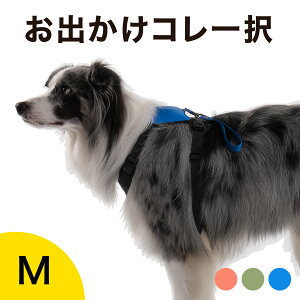 犬用首輪 リード ハーネス 中型犬 多頭の人気商品 通販 価格比較 価格 Com