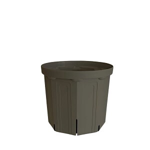 CSM-180 �Z�O���[ koigray�i6�����j�i�J�[�����N�J���[�j