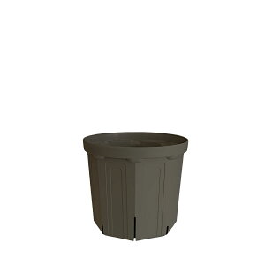 CSM-150 �Z�O���[ koigray�i5�����j�i�J�[�����N�J���[�j