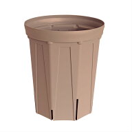 CSM-240L シェルピンク（8号ロング鉢）（カーメン君カラー）